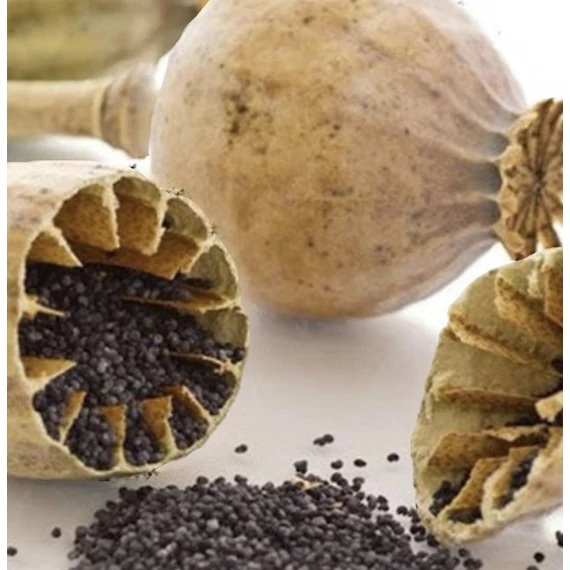  Termelői étkezési mák 500g