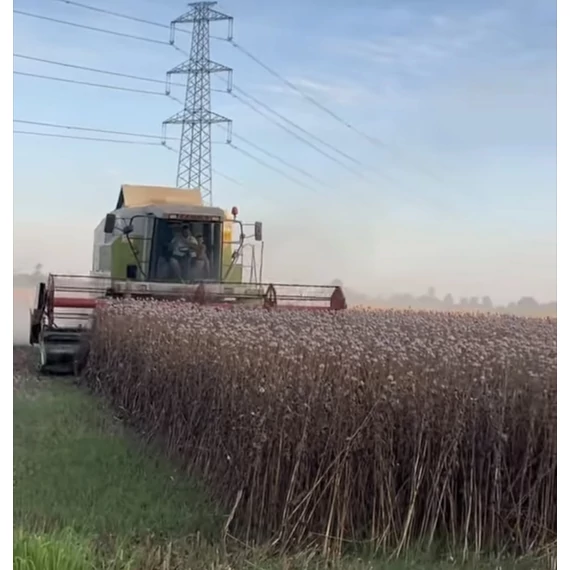  Termelői étkezési mák 500g